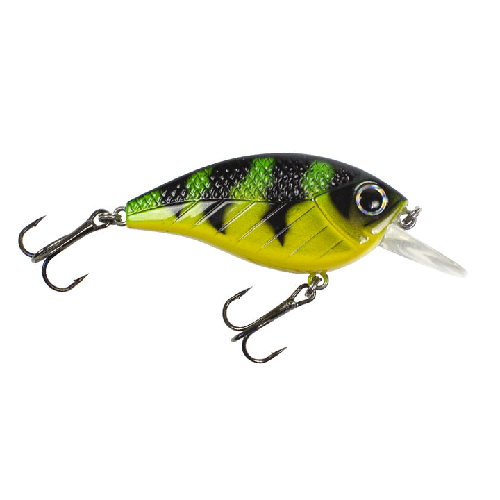 Lunkerhunt Impact Jolt 2.5F