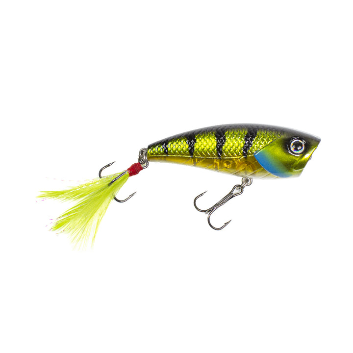 Popper Spinning Pêche au Lancer Corsaro 100 Rapture En Leurre Señuelo