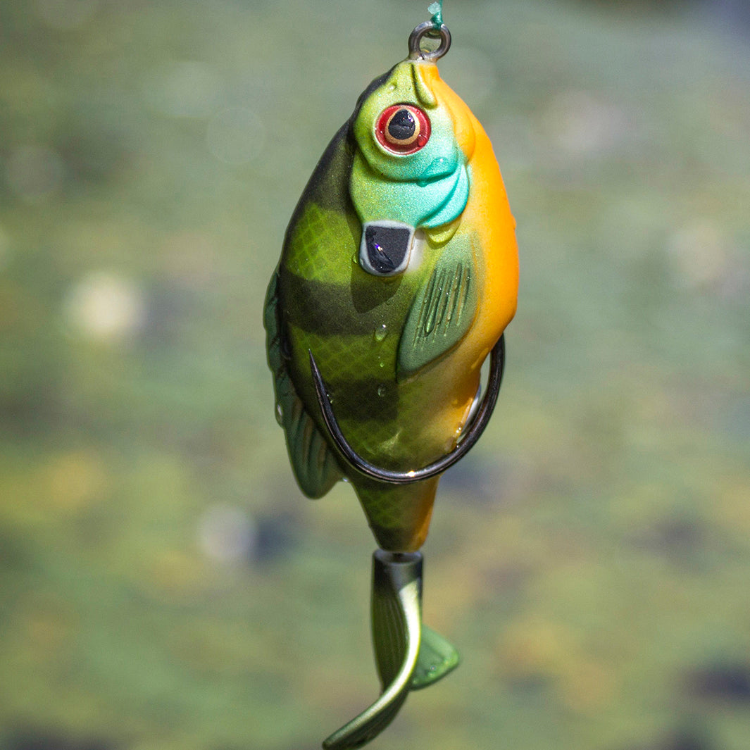 Topwater Combo – Lunkerhunt