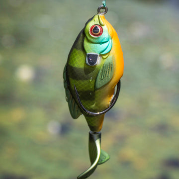 cool topwater fishing lures Combo – Lunkerhunt subseries:Abu_Garcia_Max_X Select Size::L197BKGH-3/0 - 8 pk. Daiwa Tournament 6000T Reel durable propeller like tail