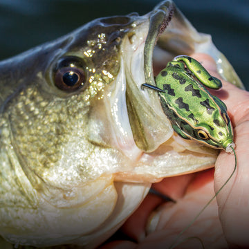 best frog lure for night fishing Lunker Frog – Lunkerhunt