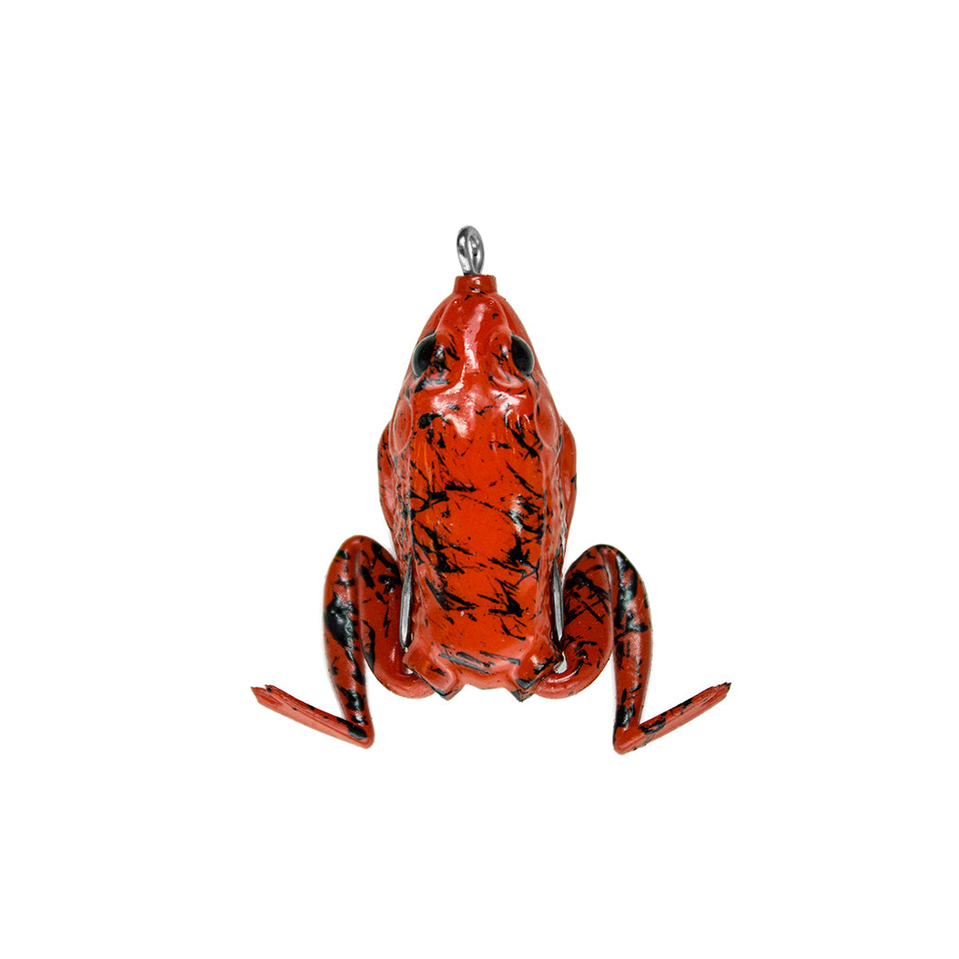 小物 Frog QCAZ-qcaza-67082-_MG_0625-