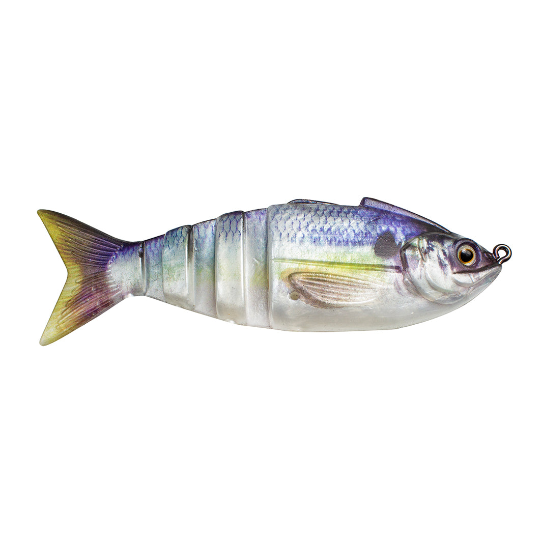 Gambit Swimbait – Lunkerhunt